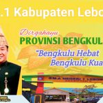 IMG-20221119-WA0047