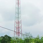IMG_20231116_155931
