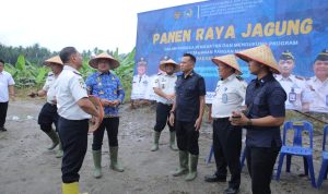 IMG-20260617-WA0049